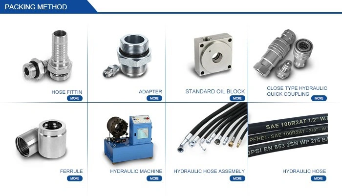 Hydraulic Hose Fitting Banjo Metric Fitting